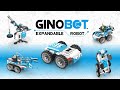 Ginobot - The most adaptive robot for teaching and developing STEM skills #ginobot #engino #robotics