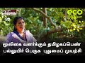 மூலிகை வளர்க்கும் தமிழகப்பெண் பல்லுயிர் பெருக  புதுமைப் முயற்சி | Eco India