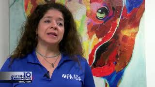 Trap, Neuter, Return: PAAC working to control feral cat population