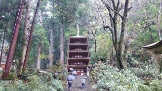 ビデオで見るウォーキングコース　奈良　室生寺　2015/11/18