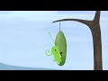 the little bird and the caterpillar animated short film by lena von döhren summer