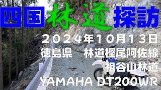 林道樫尾阿佐線・祖谷山林道　四国林道探訪　DT200WR