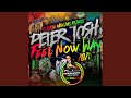 Peter Tosh Feel now Way Reggae Remix