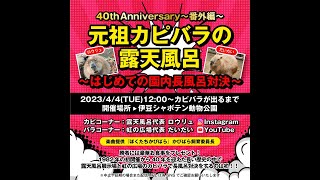 元祖カピバラの露天風呂40th anniversary 番外編〜はじめての園内長風呂対決〜