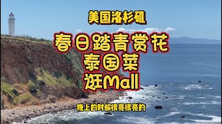 约了朋友春日踏青赏花，品尝泰国菜，逛Mall - 【lisavlog 游子记】