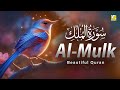 SURAH MULK  سورة الملك | Relaxing and Calming Quran Recitation | Zikrullah TV