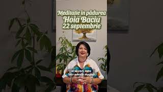 Meditație la pădurea Hoia Baciu - 22 septembrie