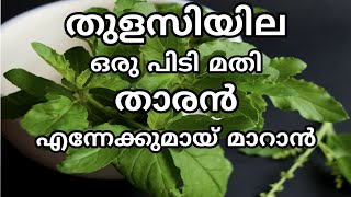 Tharan pettanu pokan tulasi | Malayalam tips to remove dandruff from hair | Taran maran natural tips