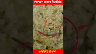 @dnnbangla #shorts : Lizards in Mid day meal at Chanditala | Hooghly