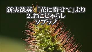 新実徳英　混声「花に寄せて」より　２．ねこじゃらし　ソプラノ