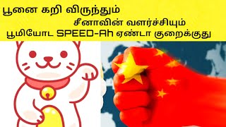 சீனாவை பற்றிய ஆச்சரியமூட்டு சம்பவங்கள்|Intresting and Informative Facts Abou China | தமிழ்  |Tamil|