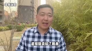 小麦玉米大涨，为何水稻被遗忘？未来走势如何？供农民参考。