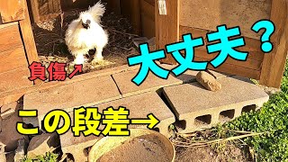 小屋の前の段差問題についてコメントが多かったので回答します 【番外編】