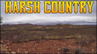 Pilbara Patch Hunting Goes South