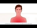 Animation about the male body