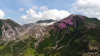 「くじゅう連山のミヤマキリシマ Jun. 2018」4K 空撮