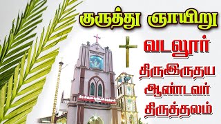 LIVE - 02-04-2023 | Vadalur, Sacred Heart Church | Palm Sunday | குருத்து ஞாயிறு | Mercy TV