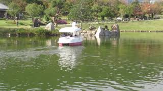 淡路国営明石海峡公園の池