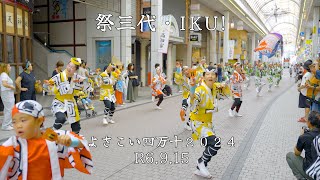 祭三代・IKU! 　よさこい四万十２０２４　４K映像