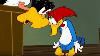 Woody Woodpecker Show | Goldiggers | Full Episode | Cartoons For Children