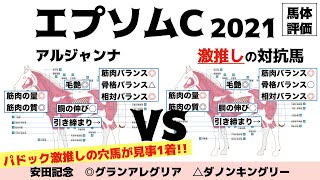 【エプソムカップ2021】アルジャンナ良いじゃんか！……すみません。距離短縮してきたあの馬にも要注目だ！【馬体評価】