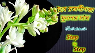 রজনীগন্ধার প্রতিস্থাপন পরিচর্যা ও রোগ পোকা নিয়ন্ত্রন/How To Care Rajanigandha Plant