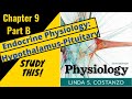 Costanzo Physiology (Chapter 9B) Endocrine Physiology: Hypothalamus/Pituitary axis || Study This!