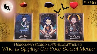 Who Is Spying On Your Social Media 👀☕️🕷️ Collab with ​⁠@LexiTheLeo 🎃💕 ~ Pick a Card Tarot