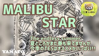 豊橋市【ZOO MANIA】vol 94 the endless summer TES 新作のご紹介 MALIBU STAR 春物 綿100% 素材にもプリントに色にもこだわる 伸びない 着心地のいい