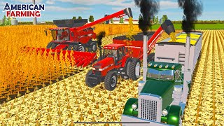 BIG TIME FARMER CORN HARVEST ON 60 ACRE FIELD! (+ NEW UPDATE) | AMERICAN FARMING