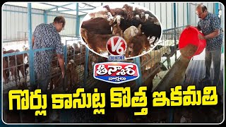 Sheep Farming Yields Handsome Profits for Entrepreneur | V6 Weekend Teenmaar