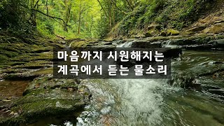 마음까지 시원해지는 계곡에서 듣는 물소리 힐링 ASMR