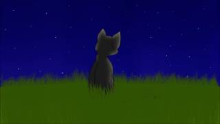Nightcloud & Crowfeather -- Animation Practice