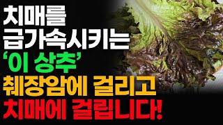 치매를 급가속시키는 '이 상추' 췌장암과 치매에 걸립니다!