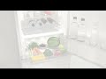 dailyfresh miele refrigeration