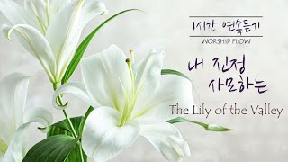 [1시간 연속듣기] 내 진정 사모하는 피아노 찬송가 연주/The Lily of the Valley Piano Hymns Instrumental (영어가사)