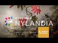 Singe Seele — Ensemle Nylandia