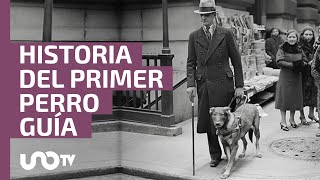 Buddy, el primer perro guía de la historia