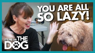 Laziness and Lies Make Victoria Lose Patience With Family |  It's Me or The Dog