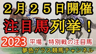 【注目馬列挙・平場予想】2023年2月25日JRA平場特別戦！強烈な追い切り時計が気になった馬がいる！？出資馬も2頭出走！