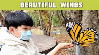 Butterfly Garden 蝴蝶園 | Golden Lion's Lake, Kaohsiung City