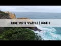 Diamond Painting June Waffle | 3 June 2022