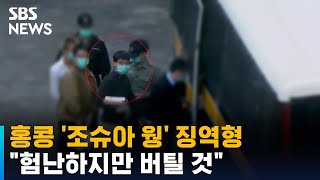 청년 민주화 운동가들 감옥행…조슈아 웡 \