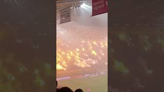 🤮Ich Kotze in den Wald🤮 Dynamo Dresden vs Halle. Pyro Wahnsinn #shorts