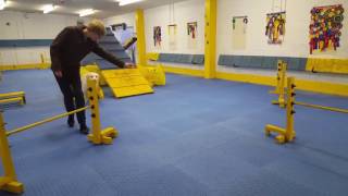 KRRs Training - Easter Egg Challenge - Agility