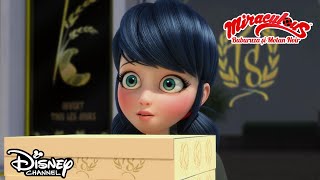 💔 Vânătoarea de inimi | Miraculous: Buburuza și Motan Noir | Disney Channel România