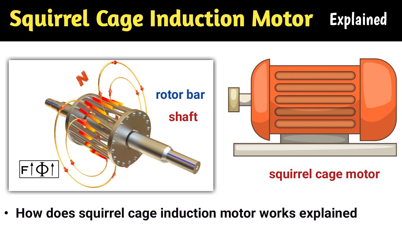 Squirrel Cage Induction Motor In Hindi Infoupdate Org
