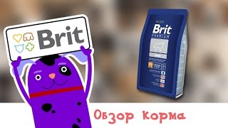 Обзор корма Brit Premium Light