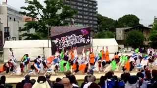 2015黒崎よさこい祭り あっぱれ竹松新煽組