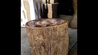 5 Reasons to Buy Petrified Wood